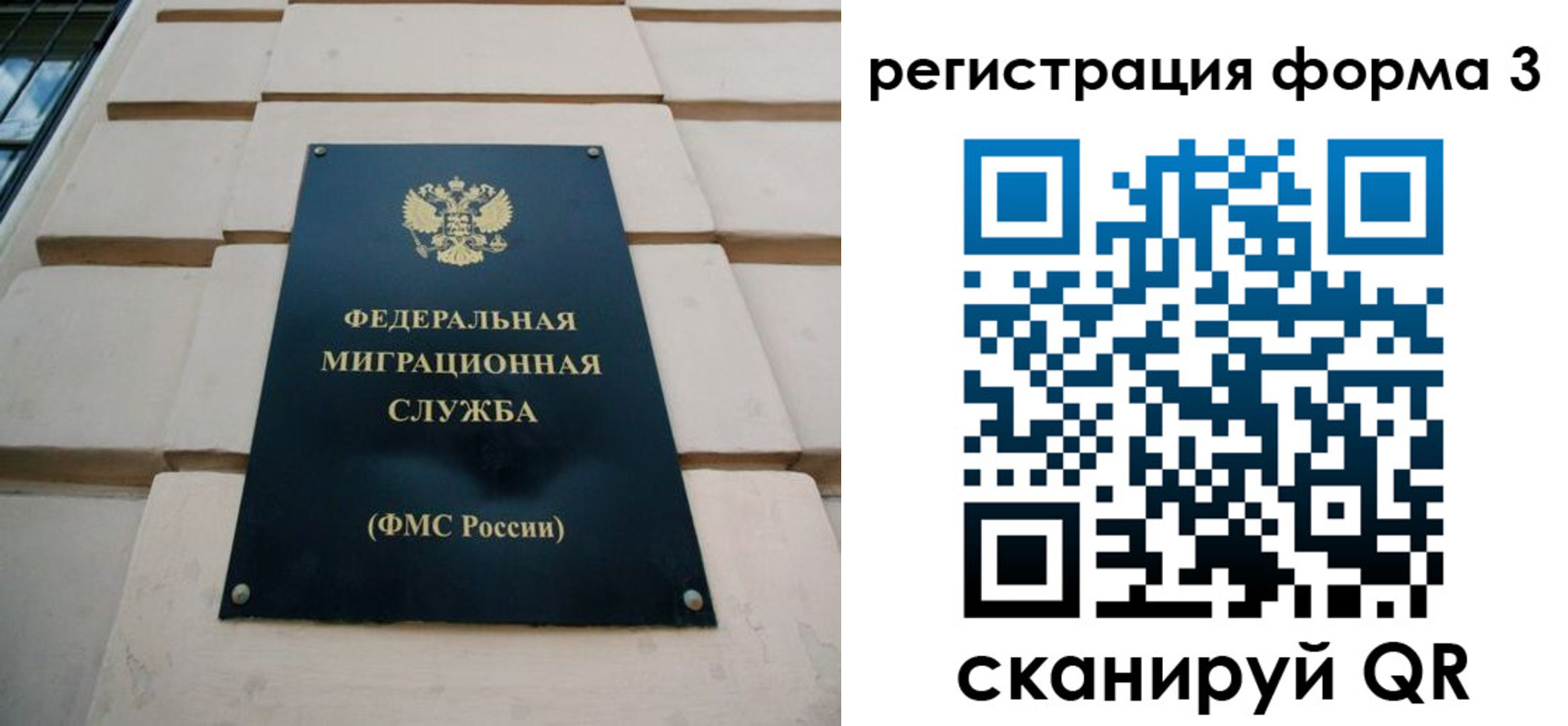 временная регистрация поиск в Владивостоке